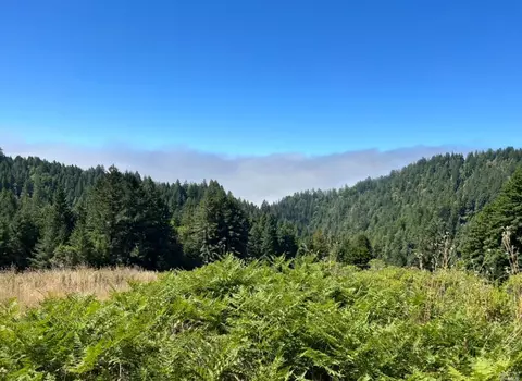 0 Muniz Ranch Rd, Jenner, CA 95450