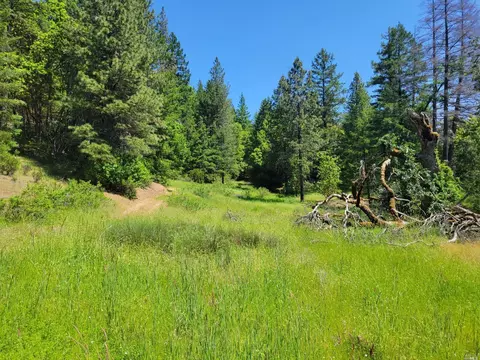 13340 Poonkinney Rd, Willits, CA 95428 photo 6