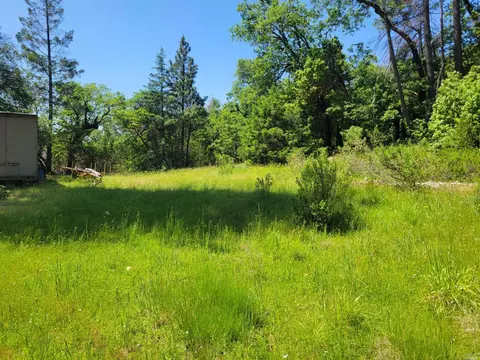 13340 Poonkinney Rd, Willits, CA 95428 photo 7