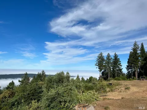 36720 Eureka Hill Rd, Point Arena, CA 95468 photo 34