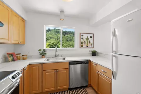 107 Mitchell Dr, Fairfax, CA 94930 photo 14