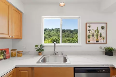 107 Mitchell Dr, Fairfax, CA 94930 photo 11