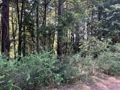 45631 Pacific Woods Rd, Gualala, CA 95445