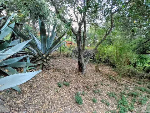 17199 Park Ave, Sonoma, CA 95476 photo 15