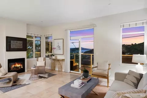276 Greene St, Mill Valley, CA 94941 photo 41