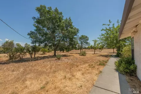 24710 Florence Ave, Corning, CA 96021 photo 44