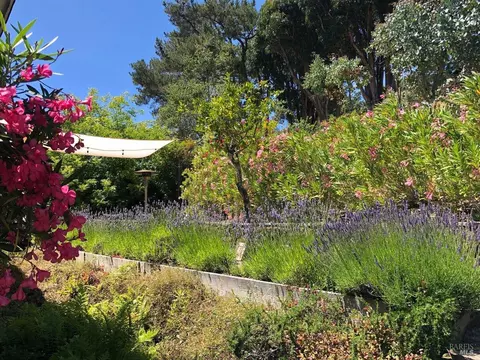 444 Sausalito St, Corte Madera, CA 94925 photo 29