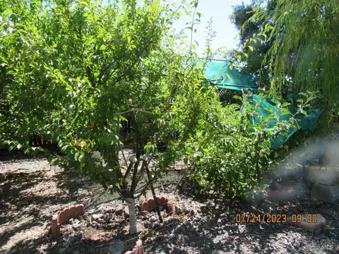 737 S Oak St, Ukiah, CA 95482 photo 25
