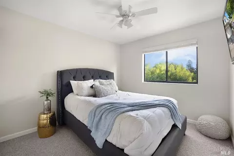 917 Bartlett Pl, Windsor, CA 95492 photo 24
