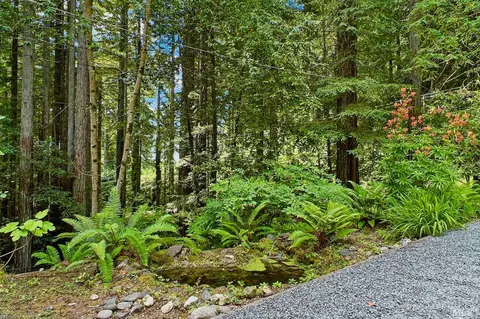 78 Magic Mountain Rd, Cazadero, CA 95421 photo 52