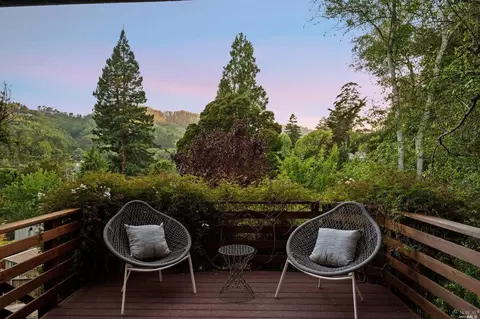 335 Dolan Ave, Mill Valley, CA 94941 photo 24