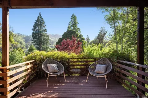 335 Dolan Ave, Mill Valley, CA 94941 photo 77