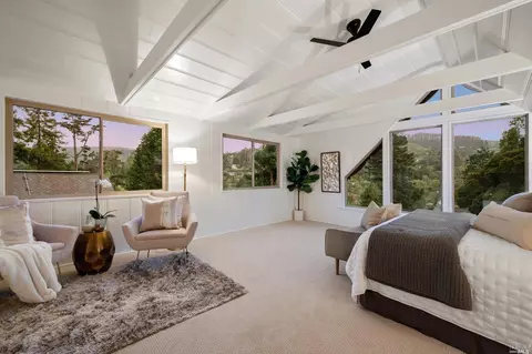 335 Dolan Ave, Mill Valley, CA 94941 photo 19