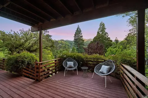 335 Dolan Ave, Mill Valley, CA 94941 photo 23
