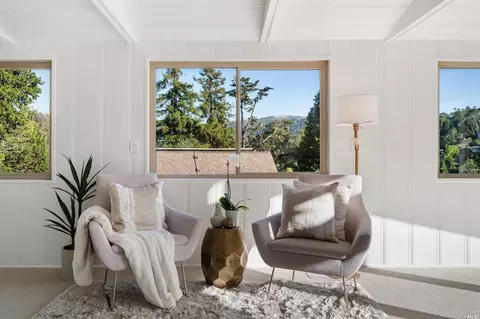 335 Dolan Ave, Mill Valley, CA 94941 photo 57