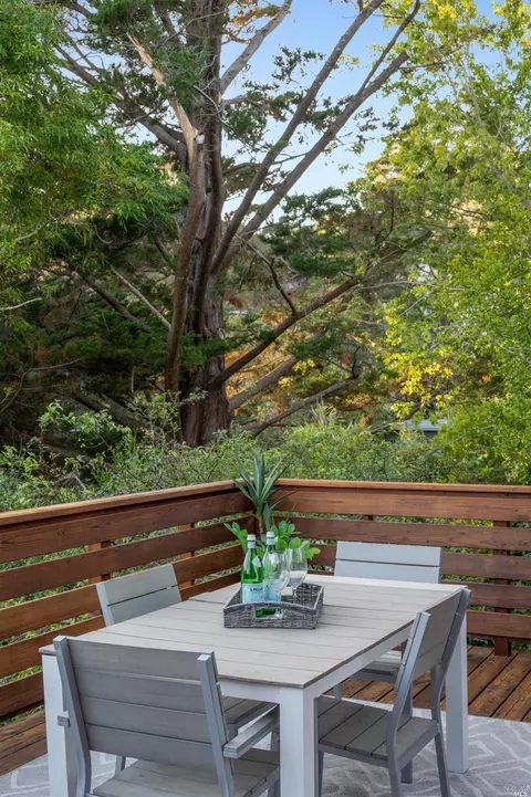 335 Dolan Ave, Mill Valley, CA 94941 photo 52