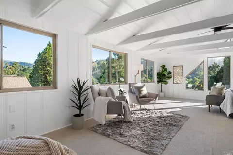 335 Dolan Ave, Mill Valley, CA 94941 photo 56
