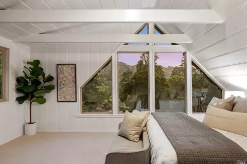 335 Dolan Ave, Mill Valley, CA 94941 photo 21