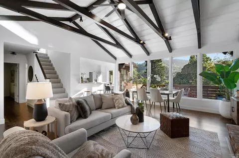 335 Dolan Ave, Mill Valley, CA 94941 photo 29