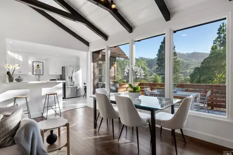 335 Dolan Ave, Mill Valley, CA 94941 photo 39