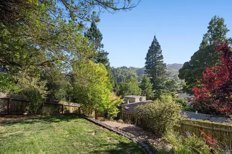 335 Dolan Ave, Mill Valley, CA 94941 photo 85