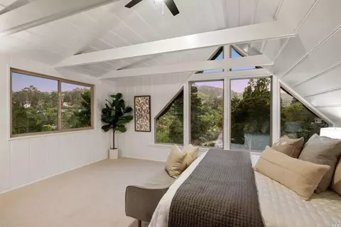 335 Dolan Ave, Mill Valley, CA 94941 photo 20
