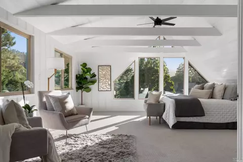 335 Dolan Ave, Mill Valley, CA 94941 photo 54