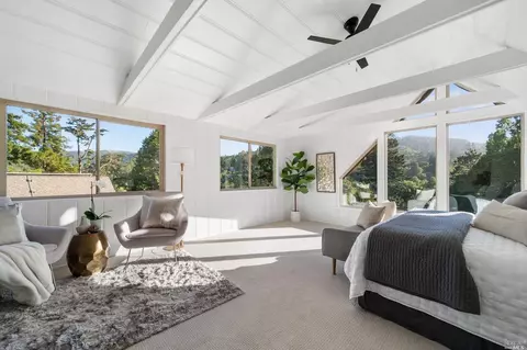 335 Dolan Ave, Mill Valley, CA 94941 photo 53