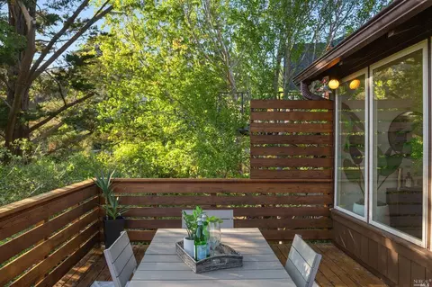 335 Dolan Ave, Mill Valley, CA 94941 photo 51