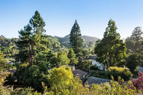 335 Dolan Ave, Mill Valley, CA 94941 photo 64