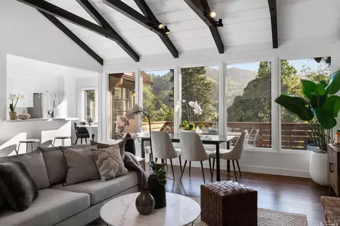 335 Dolan Ave, Mill Valley, CA 94941 photo 33