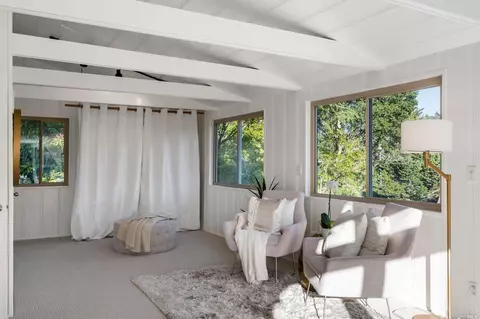 335 Dolan Ave, Mill Valley, CA 94941 photo 59