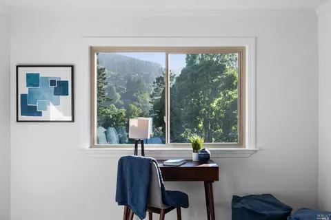 335 Dolan Ave, Mill Valley, CA 94941 photo 63