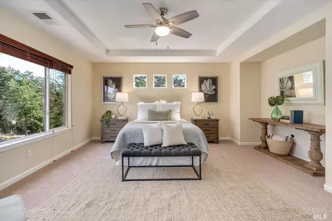 1100 Enzos Way, Windsor, CA 95492 photo 37