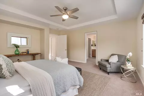 1100 Enzos Way, Windsor, CA 95492 photo 38