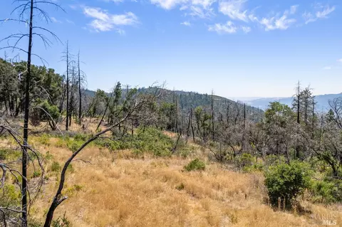 3100 Trinity Rd, Glen Ellen, CA 95442 photo 34