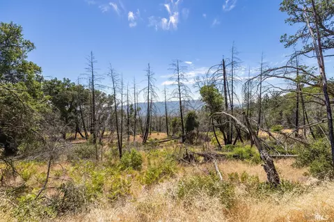 3100 Trinity Rd, Glen Ellen, CA 95442 photo 13