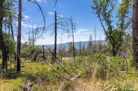 3100 Trinity Rd, Glen Ellen, CA 95442 photo 12