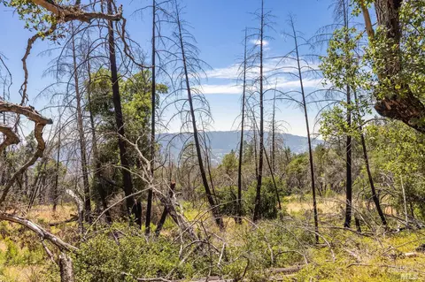 3100 Trinity Rd, Glen Ellen, CA 95442 photo 23