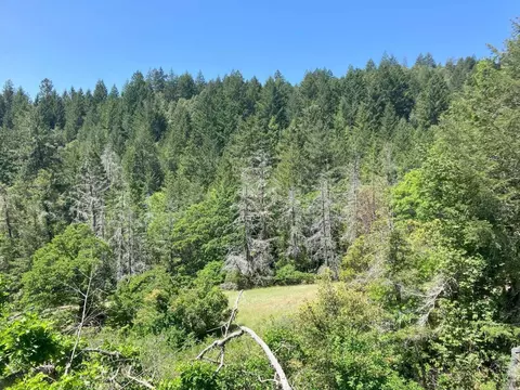 3241 Primrose Dr, Willits, CA 95490