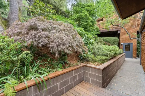 2 Bay Tree Ln, Mill Valley, CA 94941 photo 27