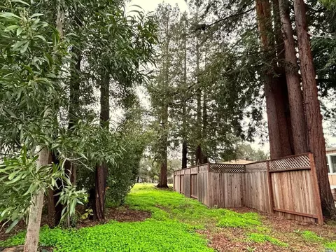 1741 Pine St, Napa, CA 94559 photo 3
