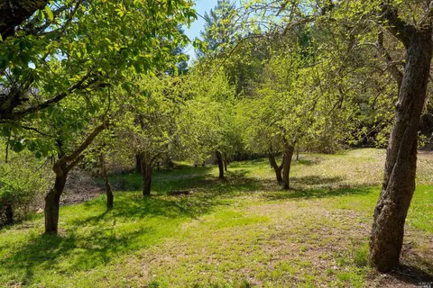 26940 String Creek Rd, Willits, CA 95490 photo 24