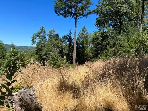 4600 Hearst-willits Rd, Willits, CA 95490 photo 16