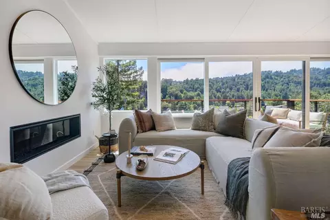 86 Hillside Ave, Mill Valley, CA 94941 photo 17