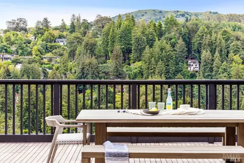 99 Hillside Ave, Mill Valley, CA 94941 photo 28