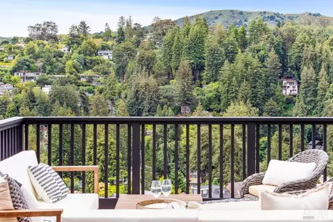 99 Hillside Ave, Mill Valley, CA 94941 photo 34