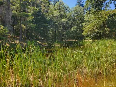3440 Second Gate Rd, Willits, CA 95490 photo 8