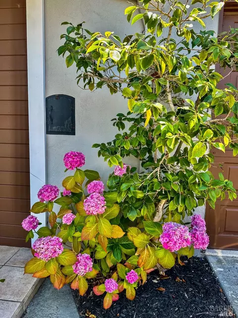 6 Mohawk Ave, Corte Madera, CA 94925 photo 33
