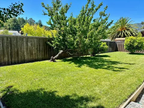 6 Mohawk Ave, Corte Madera, CA 94925 photo 32